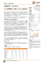 2019业绩高歌猛进,疫情之下2020Q1业绩仍增长