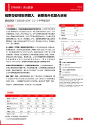 2019年年报点评:短期受疫情影响较大,长期看外延整合进展