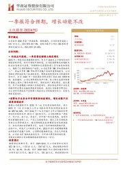 一季报符合预期，增长动能不改