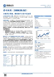 业绩符合预期,静待海外业务开花结果