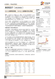 2019业绩表现亮眼，2020Q1业绩增长势头更盛