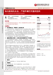 中核钛白首次覆盖深度报告：钛白粉领先企业，产销齐增打开盈利空间