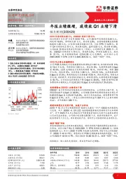 年报业绩微增，疫情致Q1业绩下滑