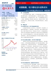 2019年年报点评&2020年一季报简评：经营稳健，动力锂电龙头逆势成长