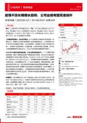 2019&20Q1业绩点评:疫情不改长期增长趋势,公司业绩有望筑底回升