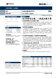 2019年年报及一季报点评:19年净利大增,一季度业绩下滑