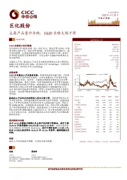 主要产品量价齐跌，1Q20业绩大幅下滑