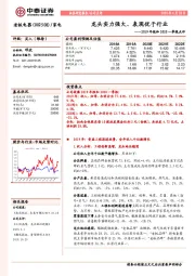 2019年报和2020一季报点评:龙头实力强大、表现优于行业