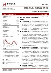 年报点评：业绩短期承压，长期关注钕铁硼龙头