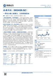 一季报业绩大幅增长,定增预案落地