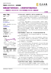 2019年年报及2020年一季报点评：短期业绩下滑存在压力，二季度外需不确定性加大