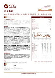 2019年业绩符合预期，有机硅产品价格大幅下滑，拖累公司业绩