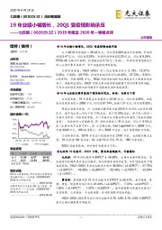 2019年报及2020年一季报点评:19年业绩小幅增长,20Q1受疫情影响承压