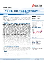 2020年一季报点评：符合预期，2020年仍是量产能力验证年