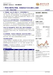 2020一季报点评报告：一季报业绩符合预期，短期扰动不改长期向上趋势