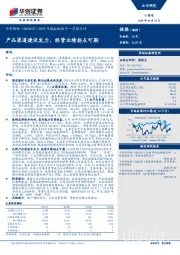 2019年报&2020年一季报点评：产品渠道建设发力，经营业绩拐点可期