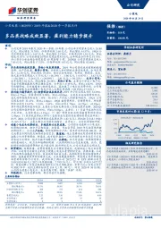 2019年报&2020年一季报点评：多品类战略成效显著，盈利能力稳步提升