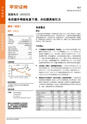 电价提升难抵电量下滑，分红颇具吸引力