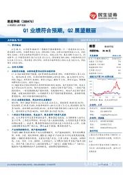 Q1业绩符合预期，Q2展望靓丽