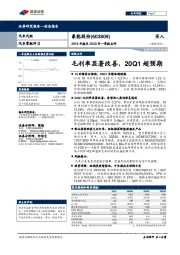 2019年报及2020年一季报点评：毛利率显著改善，20Q1超预期