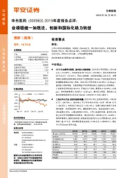 2019年度报告点评:业绩稳健一如既往,创新和国际化助力转型