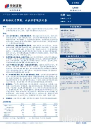 2019年报及2020年一季报点评：盈利略低于预期，内在经营逐步改善