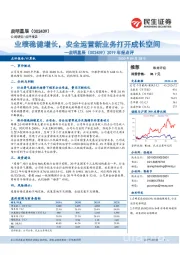 2019年报点评:业绩稳健增长,安全运营新业务打开成长空间