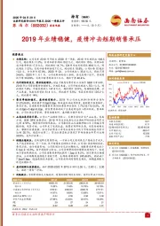 2019年业绩稳健，疫情冲击短期销售承压