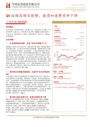 Q4延续高增长趋势，疫情加速费用率下降