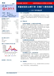 2019年年报点评：商誉减值致业绩下滑 定增扩大影院规模