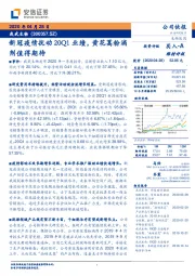 新冠疫情扰动20Q1业绩，黄花蒿粉滴剂值得期待