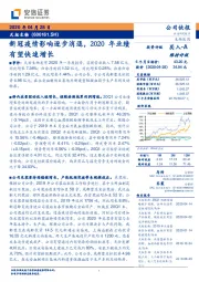 新冠疫情影响逐步消退，2020年业绩有望快速增长