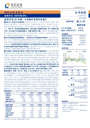 疫情冲击Q1业绩，玉龙铜矿有望年底投产