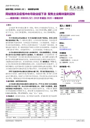 2019年报及2020一季报点评:网站整改及疫情冲击导致业绩下滑 聚焦主业期待盈利反转