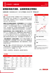 2019年报及2020年一季报点评：疫情影响逐步消除，业绩将恢复正常增长