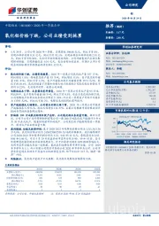 2020年一季报点评：氧化铝价格下跌，公司业绩受到拖累