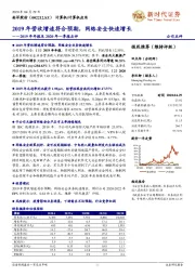 2019年年报及2020年一季报点评:2019年营收增速符合预期,网络安全快速增长