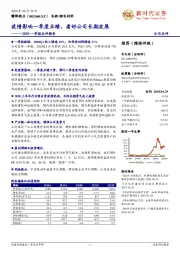 2020一季报点评报告:疫情影响一季度业绩,看好公司长期发展