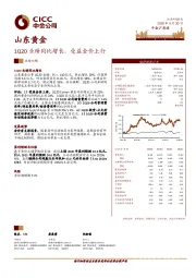 1Q20业绩同比增长，受益金价上行