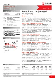 银保动能强劲，投资表现亮眼