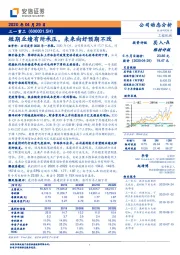 短期业绩有所承压，未来向好预期不改