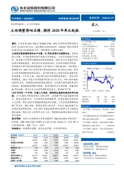 主动调整影响业绩，期待2020年再次起航