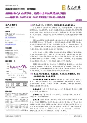 2019年年报及2020年一季报点评：疫情影响Q1业绩下滑，逆势中龙头抗风险能力更强