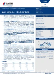 2019年报及2020年一季报点评：激励计划释放活力，增长势能有望延续