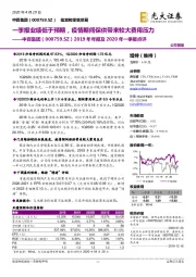 2019年年报及2020年一季报点评：一季报业绩低于预期，疫情期间保供带来较大费用压力