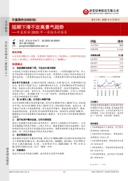 中直股份2020年一季报点评报告：短期下滑不改高景气趋势