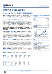 内生+外延齐发力，扣非净利润维持高增长