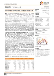 内外销齐增长龙头地位稳固，疫情使短期业绩下滑