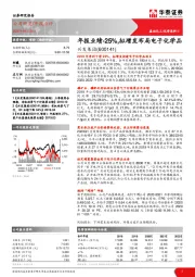 年报业绩-25%，拟增发布局电子化学品