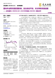 2019年年报及2020年一季报点评：国内外业务均受疫情影响，龙头地位不改、关注零售恢复进展